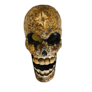 Skull Mask Albacia Wood Wall Art Man Cave